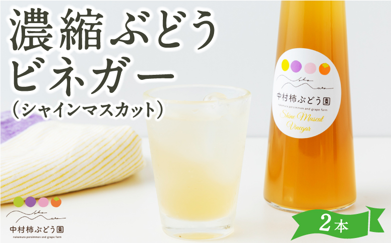中村柿ぶどう園 濃縮ぶどうビネガー (シャインマスカット) 300ml×2本 フルーツビネガー 果実酢 フルーツ酢 お酢 酢 ビネガー 濃縮タイプ 飲料 福岡県 うきは市