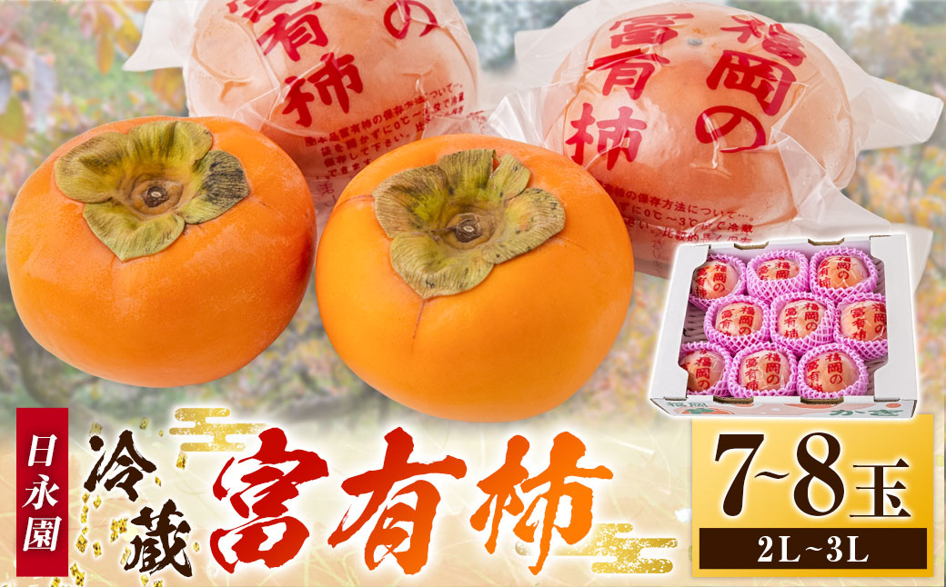 日永園 冷蔵富有柿 7玉から8玉（2Lから3Lサイズ） 【2025年12月下旬から2026年2月下旬出荷予定】 柿 フルーツ 果物