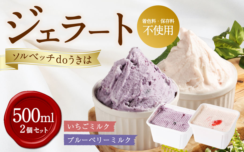 ソルベッチdoうきは ジェラート500ml×2個セット フルーツ ミルク スイーツ デザート ジェラート シャーベット アイス いちごミルク ブルーベリーミルク セット 冷凍 福岡県 うきは市