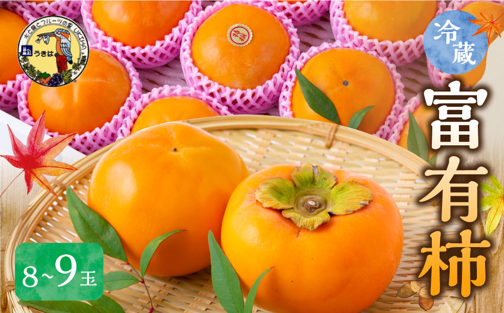 【先行予約】道の駅うきは 冷蔵富有柿 8玉から9玉 2025年12月中旬から2026年1月下旬 出荷予定