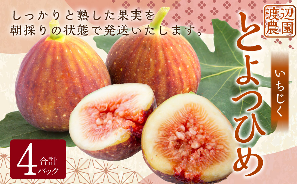 【先行予約】渡辺農園 いちじく (とよみつひめ) 4パック 【2025年7月下旬～2025年10月上旬 出荷予定】 フルーツ 果物 果実 常温 送料無料 福岡県 うきは市
