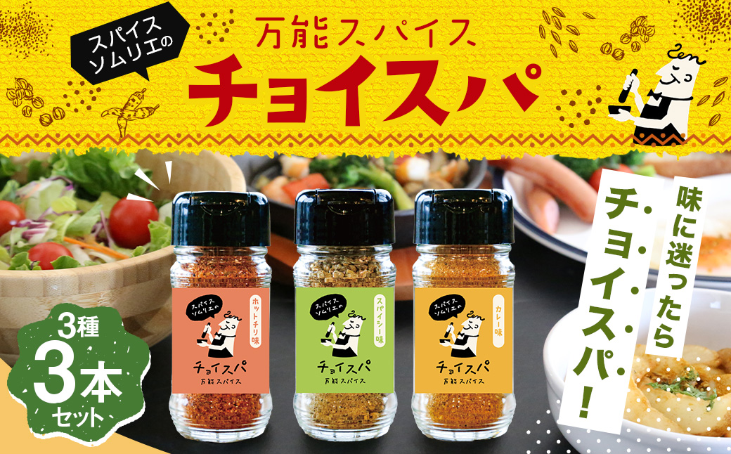 スープカレー専門店 禅 チョイスパ ３種の詰め合わせセット (スパイシー味・カレー味・ホットチリ味) 各40g×3本