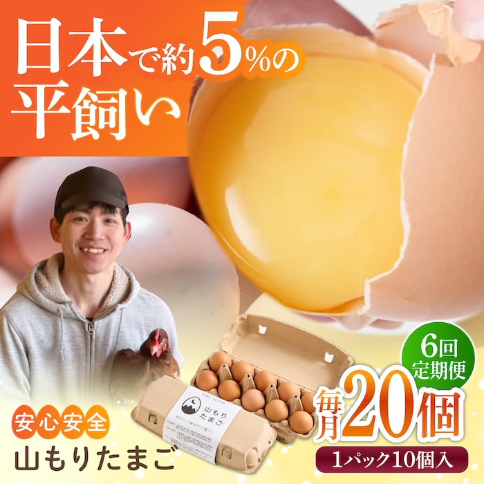 【6ヶ月定期便】平飼い 山もりたまご 20個 安心安全 おいしさに感動 たまご 卵 高級卵 平飼い 安心安全 飼料にこだわり 成長剤 ホルモン剤 添加物不使用 6回定期便