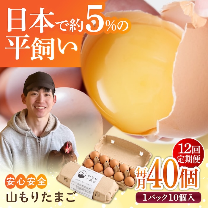【12ヶ月定期便】平飼い 山もりたまご 40個 安心安全 おいしさに感動 たまご 卵 高級卵 平飼い 安心安全 飼料にこだわり 成長剤 ホルモン剤 添加物不使用 12回定期便