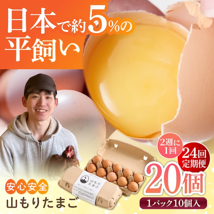 【月2回 12ヶ月定期便】平飼い 山もりたまご 20個 安心安全 おいしさに感動 たまご 卵 高級卵 平飼い 安心安全 飼料にこだわり 成長剤 ホルモン剤 添加物不使用 定期便