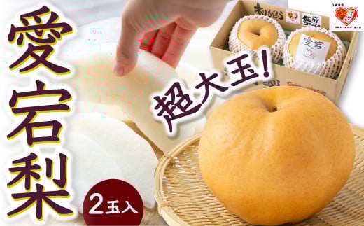 【先行予約】佐藤ファーム 愛宕梨 超大玉 2玉入 2025年11月上旬 出荷予定