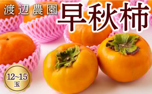 【先行予約】 渡辺農園 早秋柿 12玉から15玉 【2025年9月下旬から10月上旬 出荷予定】 柿 かき カキ 早秋 そうしゅう 果物 くだもの フルーツ 果実 ジューシー お取り寄せ 福岡県 うきは市