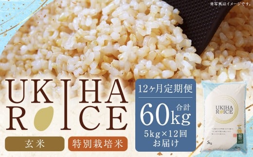 【12ヶ月定期便】みずほファーム UKIHA RICE (玄米5kg×12ヶ月)  【特別栽培米】【2025年11月より順次発送予定】 米 ヒノヒカリ  玄米 お米 ご飯 うきは市