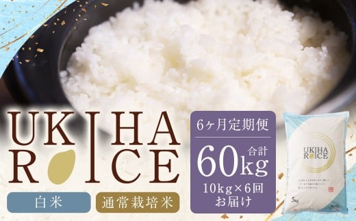 【6ヶ月定期便】みずほファーム UKIHA RICE (白米10kg×6ヶ月)  【2025年11月より順次発送予定】 米 ヒノヒカリ お米 ご飯 うきは市