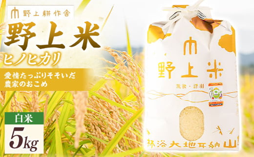 【2025年10月下旬より順次発送開始】野上耕作舎 野上米ヒノヒカリ 白米5kg ひのひかり 白米 米 お米 ご飯 国産 九州産 福岡県 うきは市
