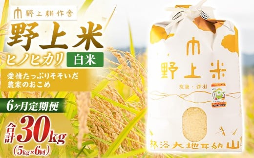 【6か月定期便】 白米 野上米 5㎏×6回 計30kg