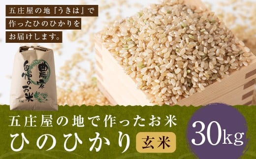 【特Aランク米】五庄屋の地で作ったお米 ひのひかり 玄米 (30kg) 【2025年10月下旬より順次発送予定】 ヒノヒカリ こめ コメ ごはん ご飯 福岡県うきは市産 九州産 玄米 ひのひかり 30kg