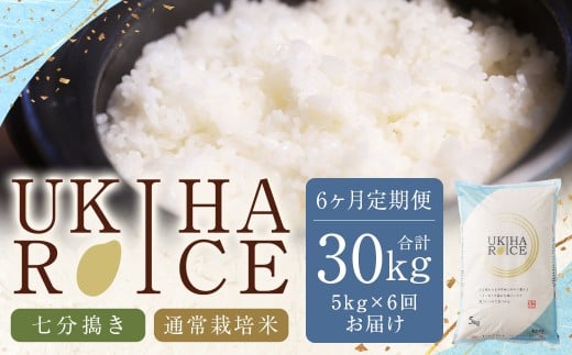 【6ヶ月定期便】みずほファーム UKIHA RICE (七分搗き5kg×6ヶ月)  【2025年11月より順次発送予定】 米 ヒノヒカリ お米 ご飯 うきは市