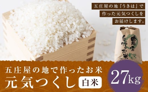 【特Aランク米】五庄屋の地で作ったお米 元気つくし 白米 (27kg) 【2025年10月上旬より順次発送予定】 こめ コメ ごはん ご飯 福岡県うきは市産 九州産 白米 元気つくし 27kg