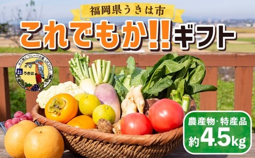 道の駅 うきは これでもか！！ ギフト （新鮮な農産物・特産品 約4.5kg） 野菜 ベジタブル 果物 くだもの フルーツ 農産物 特産品 特産 新鮮 フレッシュ 朝採れ 詰め合わせ 詰合せ セット ミックス お取り寄せ 福岡県 うきは市