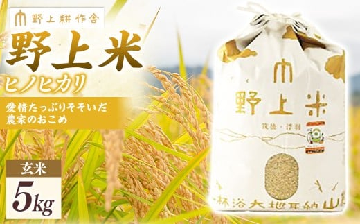 【2025年10月下旬より順次発送開始】野上耕作舎 野上米ヒノヒカリ 玄米5kg ひのひかり 玄米 米 お米 ご飯 国産 九州産 福岡県 うきは市