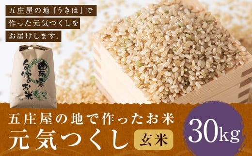【特Aランク米】五庄屋の地で作ったお米 元気つくし 玄米 (30kg) 【2025年10月上旬より順次発送予定】 こめ コメ ごはん ご飯 福岡県うきは市産 九州産 玄米 元気つくし 30kg