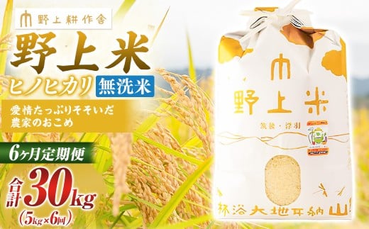 【6か月定期便】 無洗米 野上米 5㎏×6回 計30kg