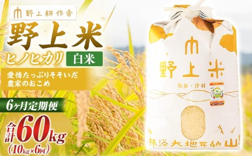 【6か月定期便】 白米 野上米 10㎏×6回 計60kg