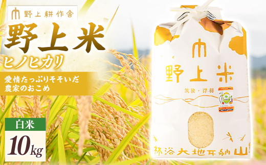 【2025年10月下旬より順次発送開始】野上耕作舎 野上米ヒノヒカリ 白米10kg ひのひかり 白米 米 お米 ご飯 国産 九州産 福岡県 うきは市
