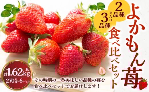 【2026年3月発送】 よかもんいちご 2品または3品種 食べ比べセット 6パック入り （計約1.62kg） よかもん苺 苺 いちご イチゴ 果物 果実 フルーツ 中サイズ 九州 福岡県 うきは市 冷蔵
