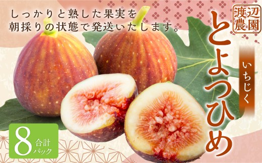 いちじく（とよみつひめ）8パック【2026年7月下旬～8月下旬発送予定】 いちじく フルーツ 果物 くだもの 冷蔵 福岡県 うきは市