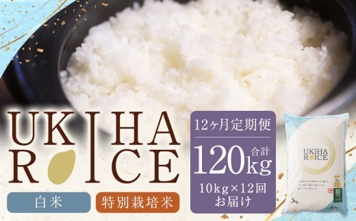 【12ヶ月定期便】みずほファーム UKIHA RICE (白米10kg×12ヶ月)   【特別栽培米】【2025年11月より順次発送予定】 米 ヒノヒカリ お米 ご飯 うきは市