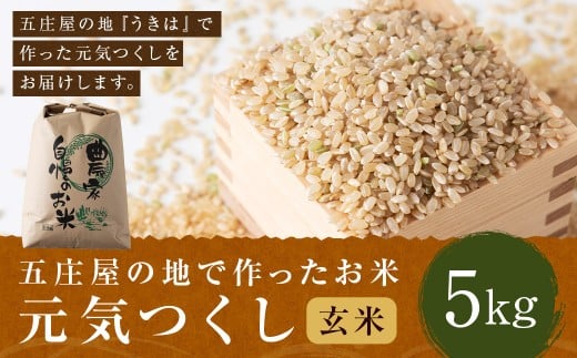 【特Aランク米】五庄屋の地で作ったお米 元気つくし 玄米 (5kg) 【2025年10月下旬より順次発送予定】 こめ コメ ごはん ご飯 福岡県うきは市産 九州産 玄米 元気つくし 5kg
