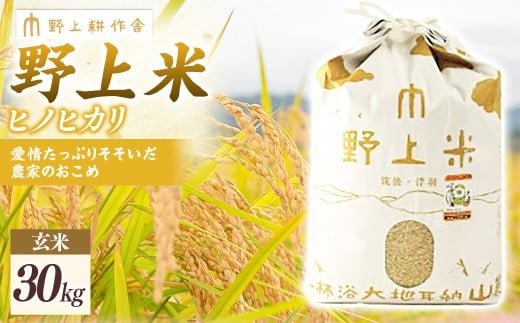 【2025年10月下旬より順次発送開始】野上耕作舎 野上米ヒノヒカリ 玄米30kg ひのひかり 玄米 米 お米 ご飯 国産 九州産 福岡県 うきは市