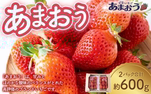 千年いちご あまおうイチゴ (300g×2パック) 12月お届け あまおう いちご イチゴ 苺 フルーツ 果物 冷蔵 送料無料 福岡県 うきは市 【2025年12月下旬より順次発送予定】