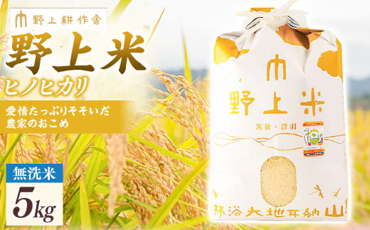 【2025年10月下旬より順次発送開始】野上耕作舎 野上米ヒノヒカリ 無洗米5kg ひのひかり 無洗米 米 お米 ご飯 国産 九州産 福岡県 うきは市