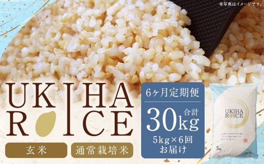 【6ヶ月定期便】みずほファーム UKIHA RICE (玄米5kg×6ヶ月)  【2025年11月より順次発送予定】 米 ヒノヒカリ お米 ご飯 うきは市