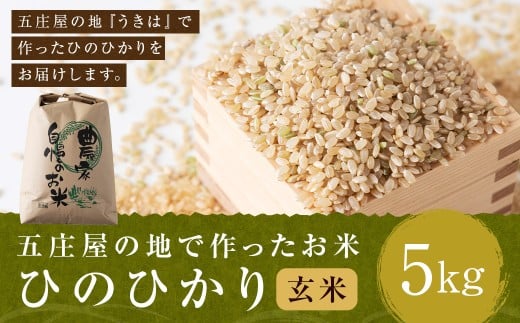 【特Aランク米】五庄屋の地で作ったお米 ひのひかり 玄米 (5kg) 【2025年10月下旬より順次発送予定】 ヒノヒカリ こめ コメ ごはん ご飯 福岡県うきは市産 九州産 玄米 ひのひかり 5kg