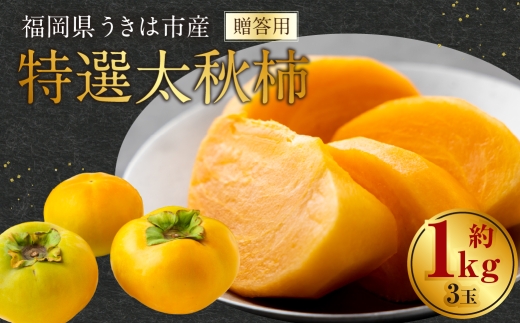特選太秋柿 3玉 （ 約1kg ） 贈答用 ギフト 太秋柿 柿 フルーツ 果物 ギフト 完熟 【 2026年11月上旬～12月上旬発送予定 】