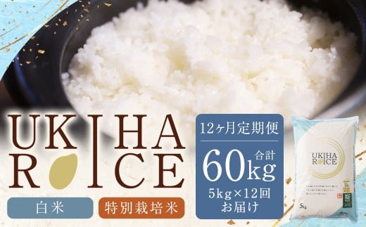 【12ヶ月定期便】みずほファーム UKIHA RICE (白米5kg×12ヶ月)  【特別栽培米】 【2025年11月より順次発送予定】 米 ヒノヒカリ お米 ご飯 うきは市