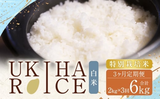 【3ヶ月定期便】みずほファーム UKIHA RICE 白米2kg×3回 計6kg（特別栽培米） 白米 精米 栽培米 お米 米 ご飯 主食 白飯 ヒノヒカリ 定期便 福岡県 うきは市