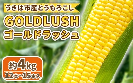 とうもろこし ゴールドラッシュ 12本～15本入 （ 約4kg ） フルーツコーン 甘い 野菜 トウモロコシ 冷蔵 【 2026年5月下旬～6月下旬発送予定 】