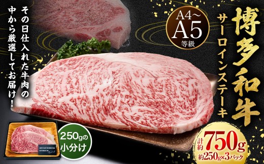 【A4・A5】博多和牛 サーロインステーキ 約750g （約250g×3P） 肉 牛肉 牛 和牛 国産牛 福岡県 うきは市 冷凍