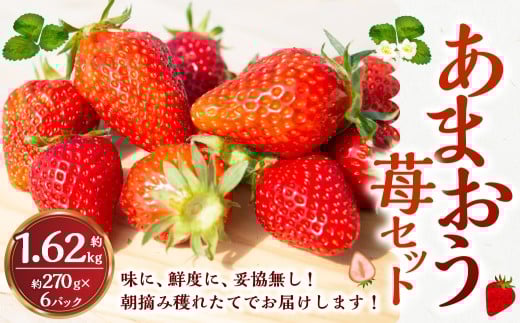 【2026年2月発送】 よかもんいちご あまおう苺セット 6パック （計約1.62kg） よかもん苺 苺 いちご イチゴ 果物 果実 フルーツ 九州 福岡県 うきは市 冷蔵