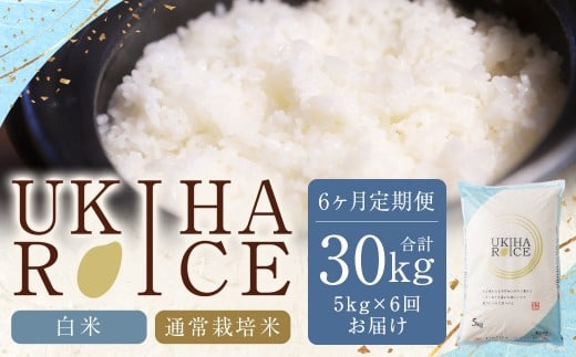 【6ヶ月定期便】みずほファーム UKIHA RICE (白米5kg×6ヶ月)  【2025年11月より順次発送予定】 米 ヒノヒカリ お米 ご飯 うきは市