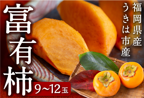 【先行予約】柿屋うちやま 富有柿 9玉から12玉 2025年11月中旬から12月上旬 出荷予定