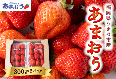 千年いちご あまおうイチゴ (300g×2パック) 2024年12月15日から12月31日 出荷予定