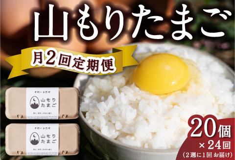 [月2回定期便]山もりたまご 20個 月2回 (2週に1回) 12ヶ月お届け