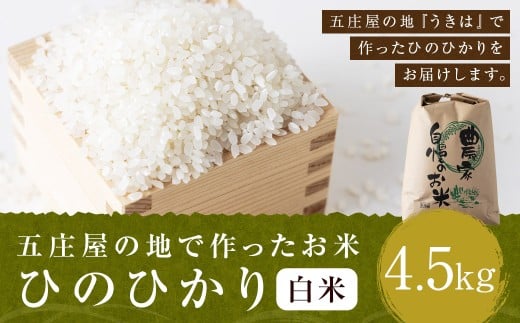 【特Aランク米】五庄屋の地で作ったお米 ひのひかり 白米 (4.5kg)