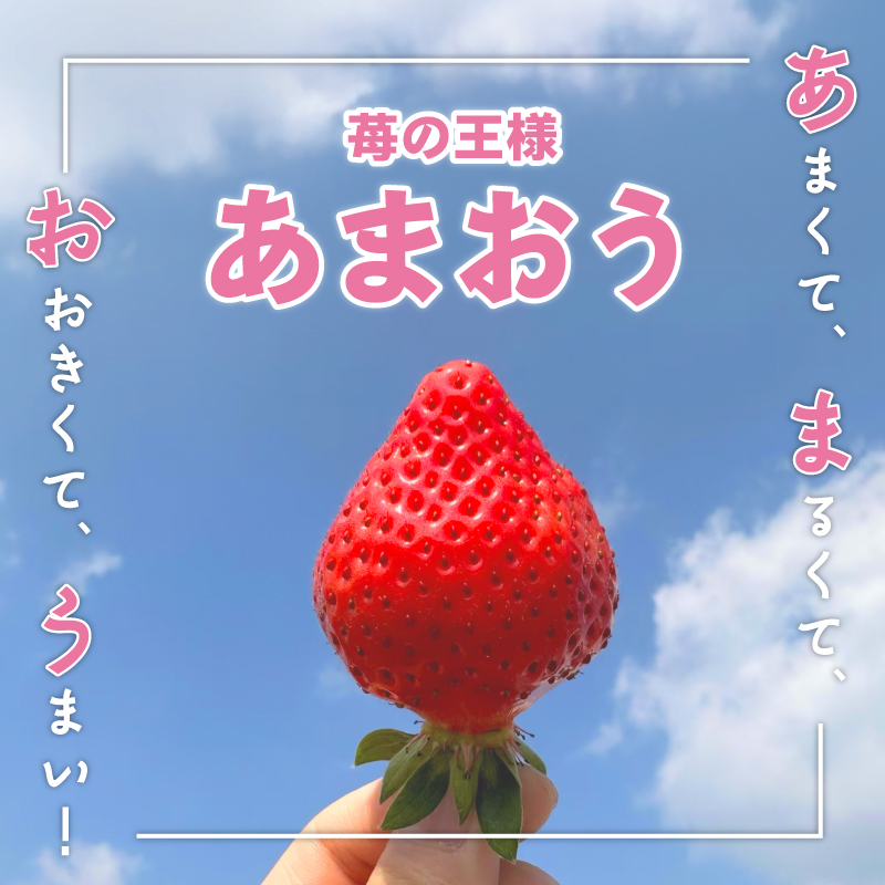 【先行予約】農家直送！ あまおう　約280g×4パック　合計約1120g　2026年1月より順次発送　[M566-3] ONE GO　いちご フルーツ イチゴ 果物 苺 スイーツ デザート ランキング 福岡