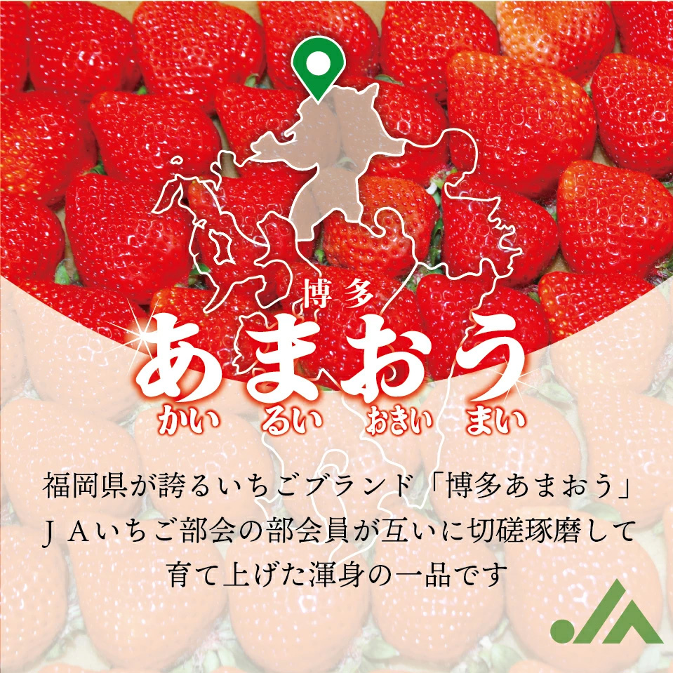 M759-4【順次発送】博多あまおう4パック（春）