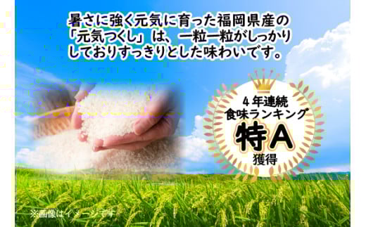 【定期便3ヶ月】　元気つくしパックご飯 　32食（150g×4食×8パック）[M776T2] ごはん 白米 パック 国産 九州産 福岡県産 宮若 レンジ 保存食 備蓄 非常食 常温保存 グルメ