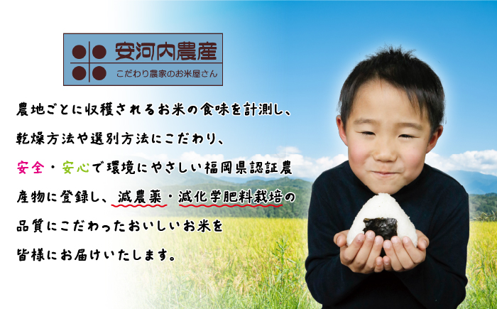 令和7年産　【先行予約】実りつくし 5kg　【10月下旬より順次発送】 福岡県宮若産〈安河内農産〉　[M788]　米・食味コンクール国際大会金賞米 精米 ブランド米 コメ ご飯 白米