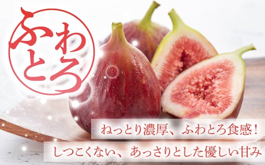 【令和8年度産】【先行予約】福岡県宮若市産 いちじく 400g×4パック(1.6kg) [M894-1]