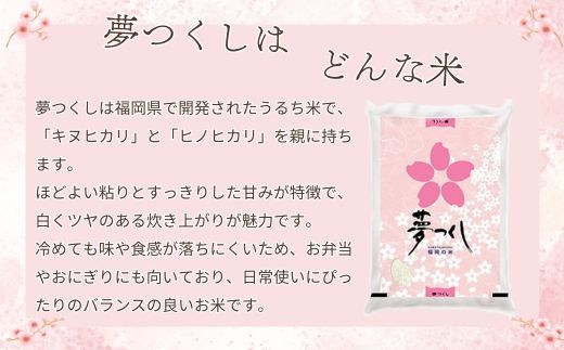 数量限定 令和7年産 夢つくし 精米 10kg〔5kg×2袋〕 [M933-1] ごはん コメ ご飯 精米 白米 ブランド米
